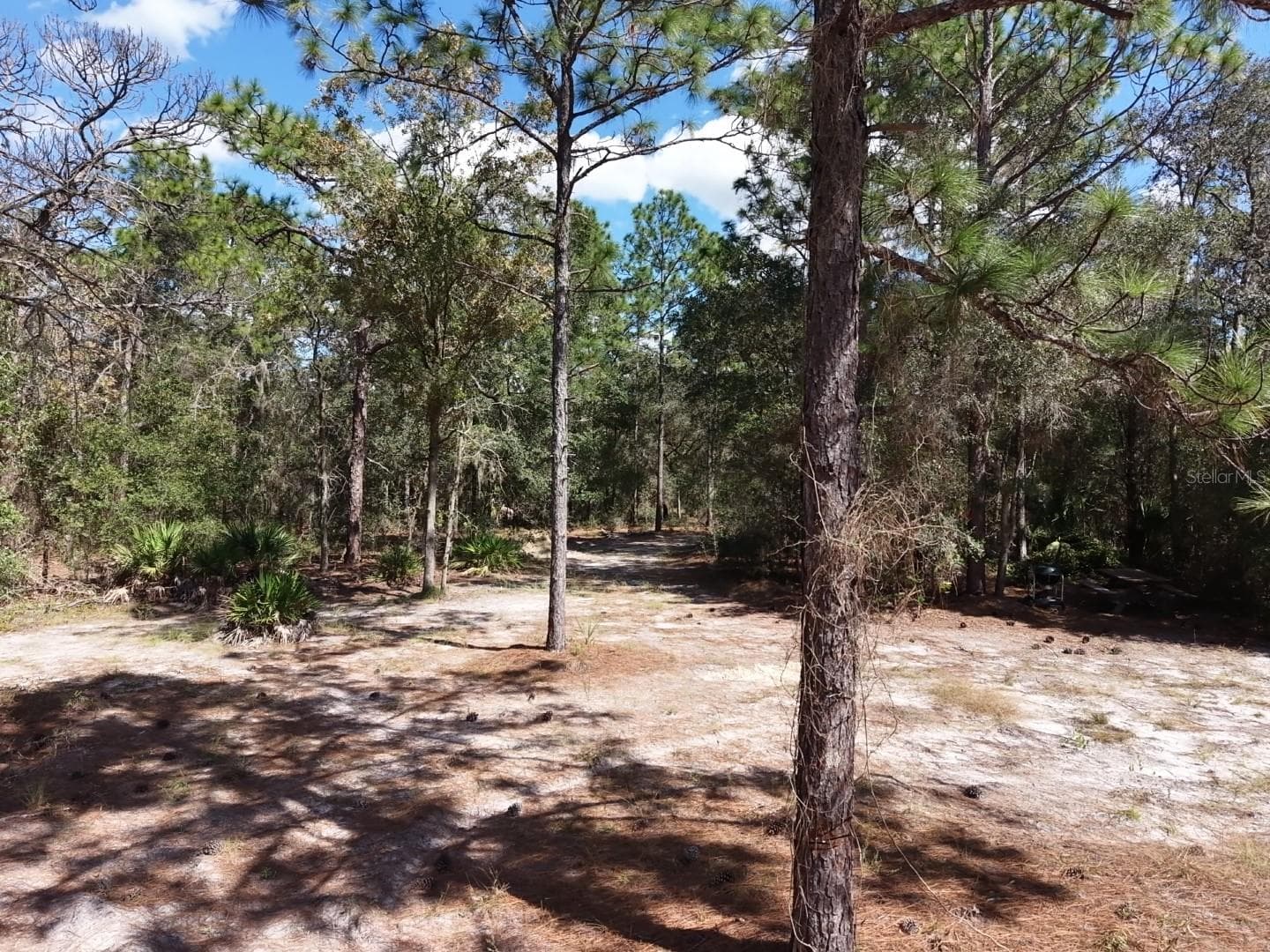 Land at 7416 N NATHAN PT, CRYSTAL RIVER, photo 11 of 78