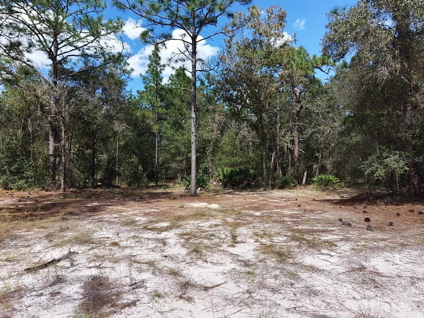 Land at 7416 N NATHAN PT, CRYSTAL RIVER, photo 12 of 78