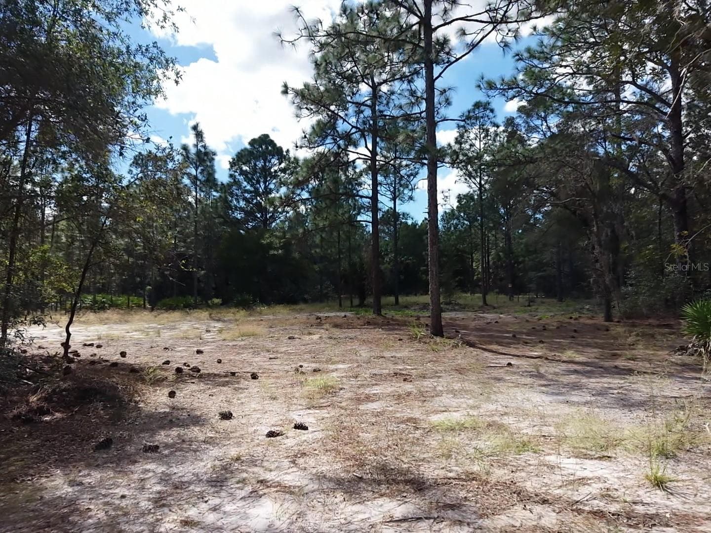 Land at 7416 N NATHAN PT, CRYSTAL RIVER, photo 13 of 78