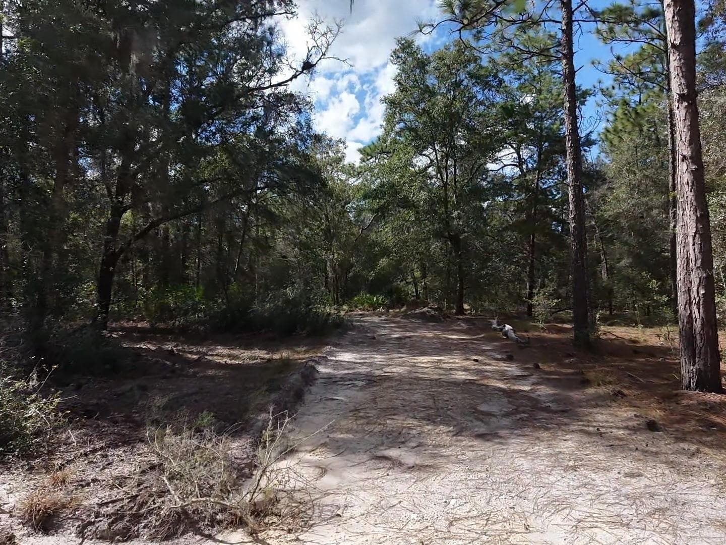 Further back in the Driveway - 7416 N NATHAN PT, CRYSTAL RIVER