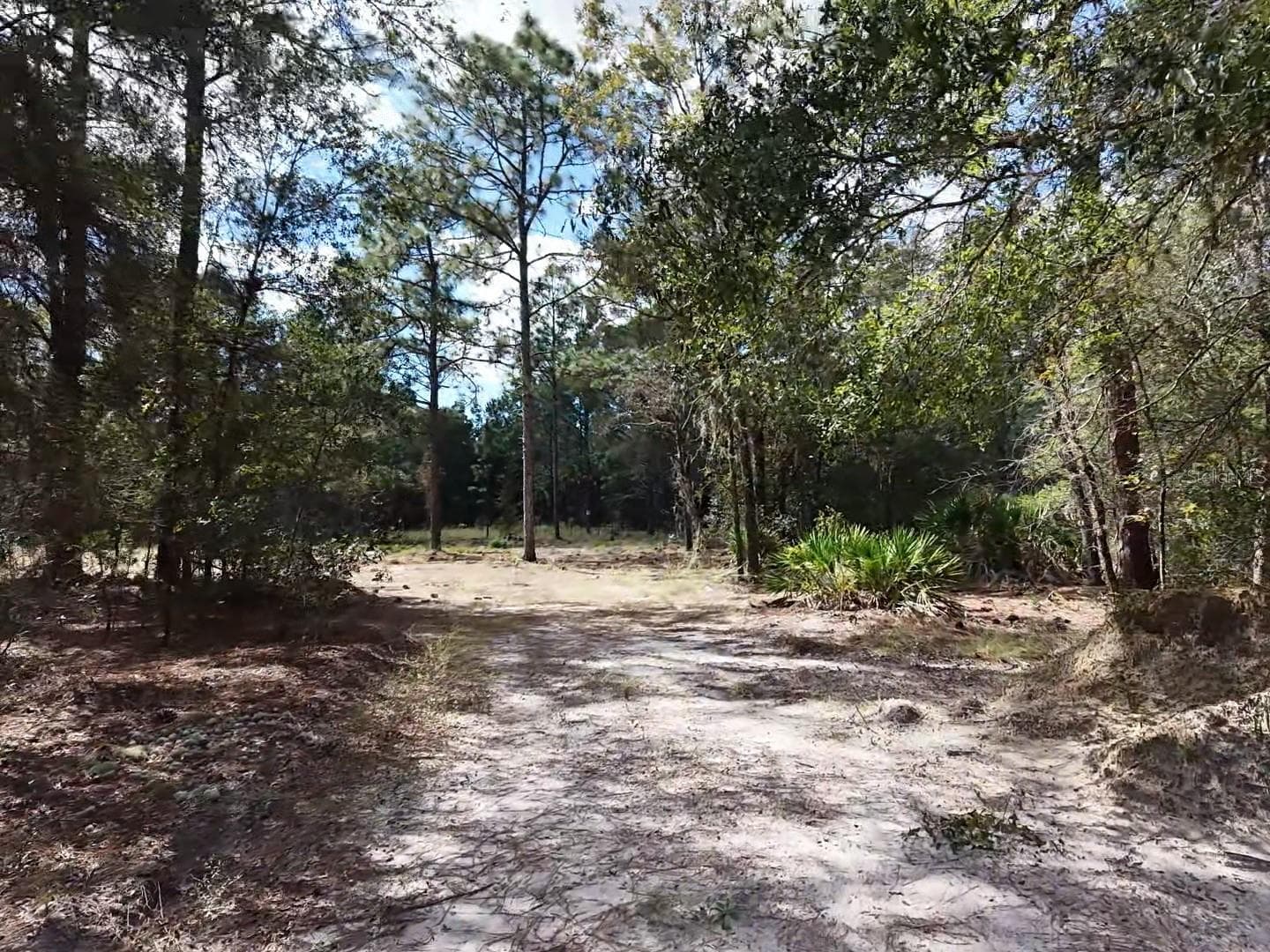 Driveway Near Proposed Building Area - 7416 N NATHAN PT, CRYSTAL RIVER