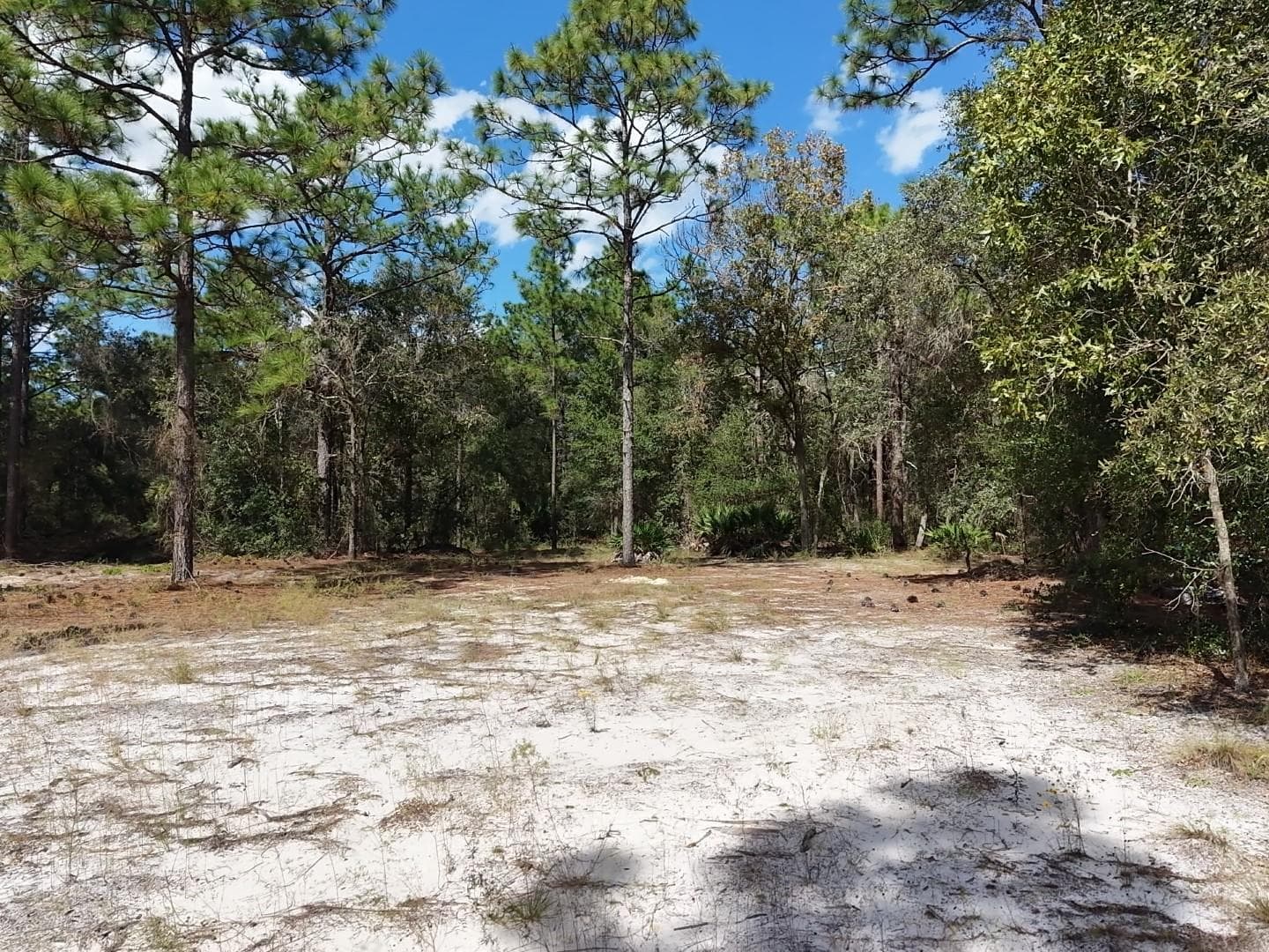 Land at 7416 N NATHAN PT, CRYSTAL RIVER, photo 16 of 78