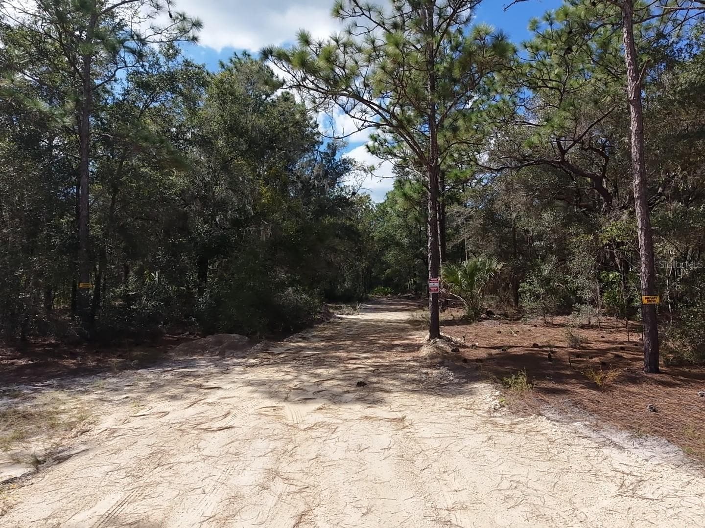 Land at 7416 N NATHAN PT, CRYSTAL RIVER, photo 17 of 78