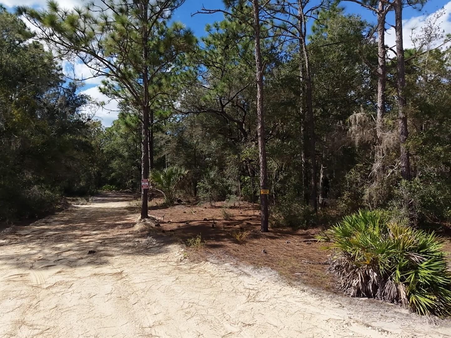 Land at 7416 N NATHAN PT, CRYSTAL RIVER, photo 18 of 78