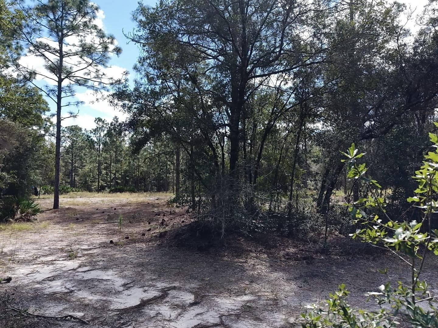 Land at 7416 N NATHAN PT, CRYSTAL RIVER, photo 20 of 78