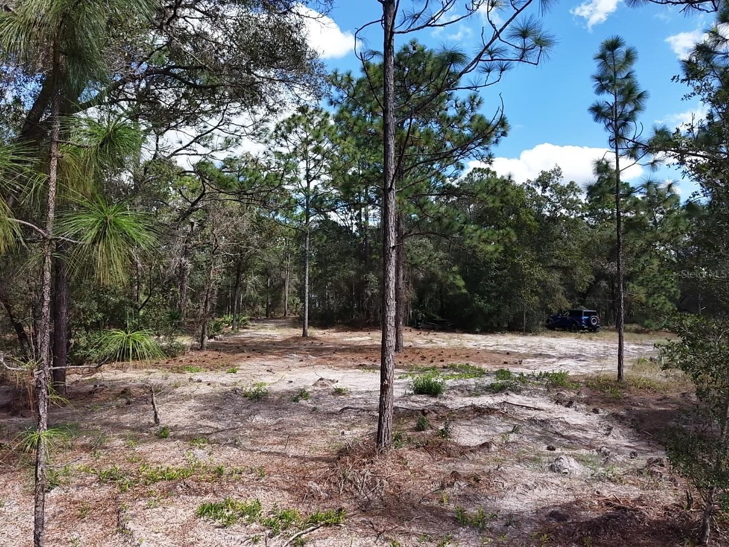 Land at 7416 N NATHAN PT, CRYSTAL RIVER, photo 21 of 78