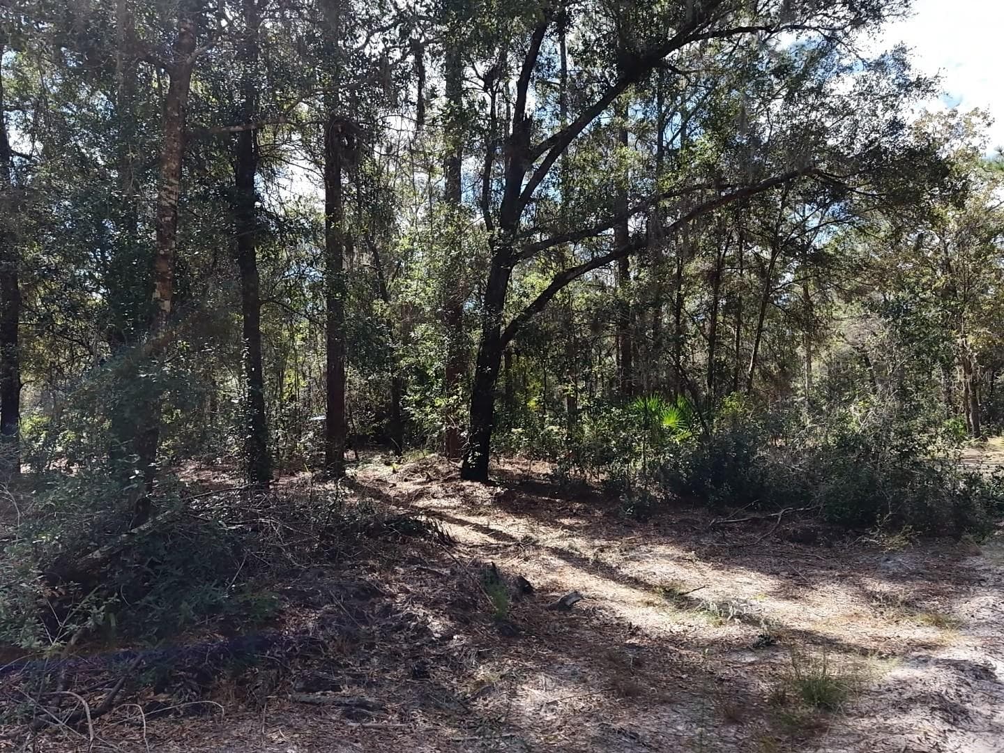 Land at 7416 N NATHAN PT, CRYSTAL RIVER, photo 22 of 78