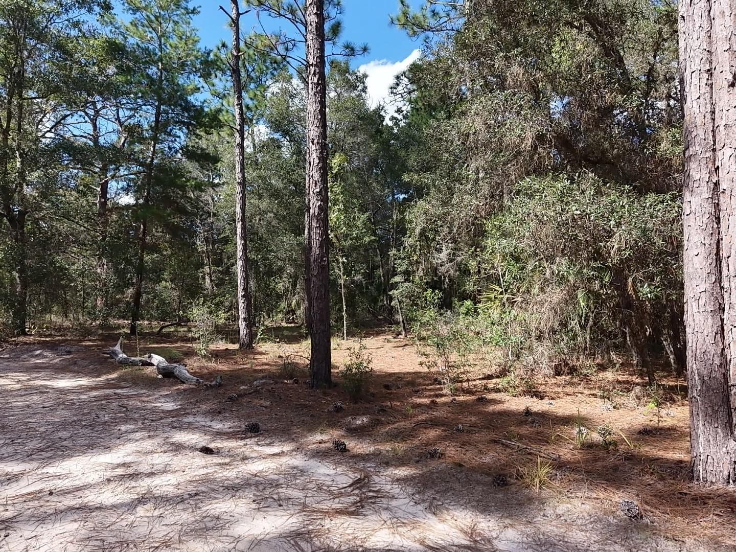 Land at 7416 N NATHAN PT, CRYSTAL RIVER, photo 23 of 78
