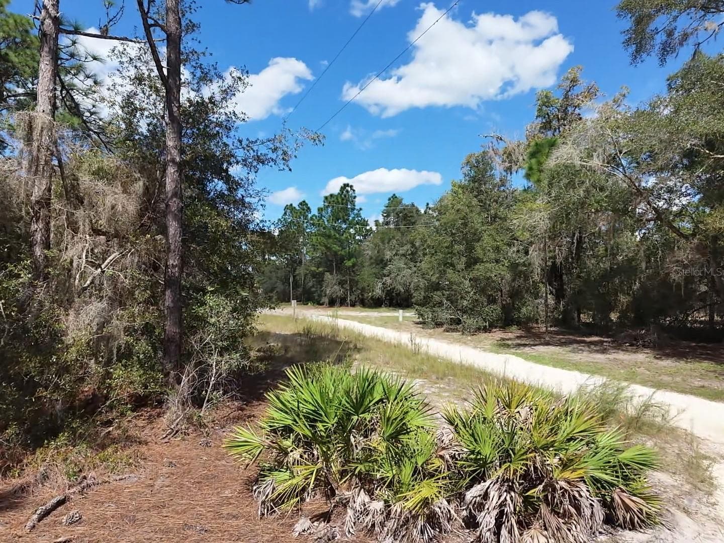 Looking North on Nathan Drive - 7416 N NATHAN PT, CRYSTAL RIVER