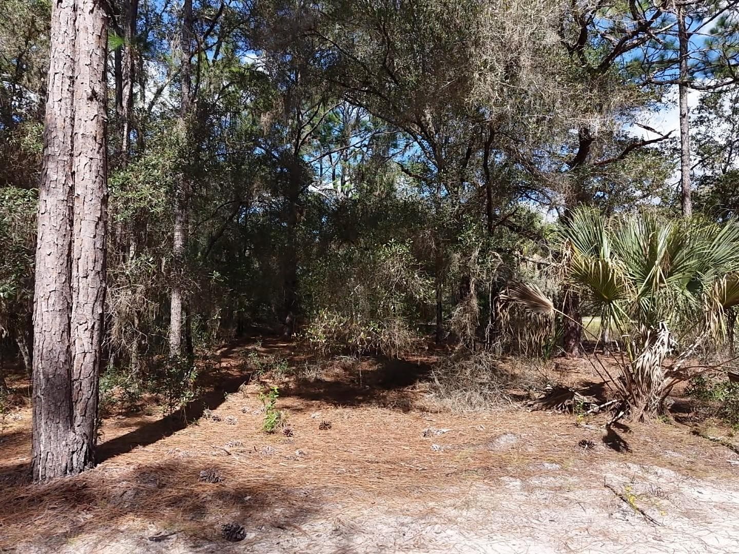 Land at 7416 N NATHAN PT, CRYSTAL RIVER, photo 25 of 78