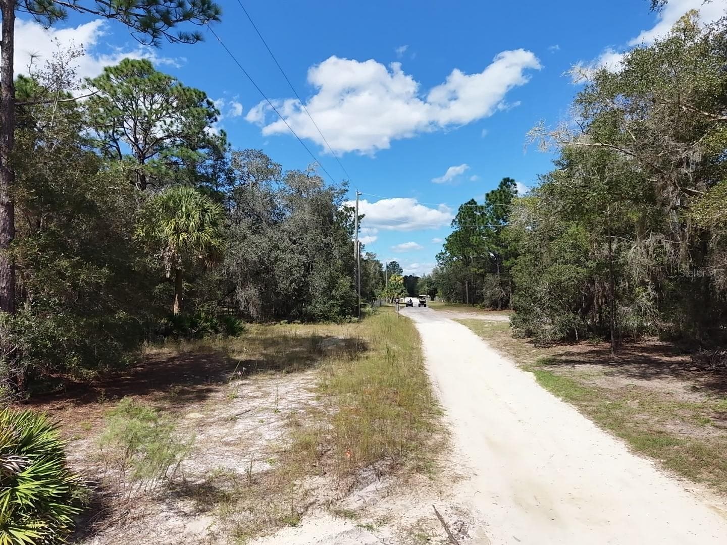 Looking North on Nathan Drive - 7416 N NATHAN PT, CRYSTAL RIVER