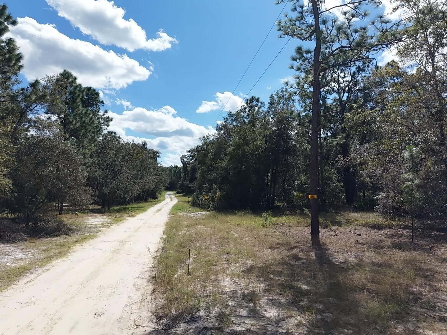 Looking South on Nathan Point - 7416 N NATHAN PT, CRYSTAL RIVER