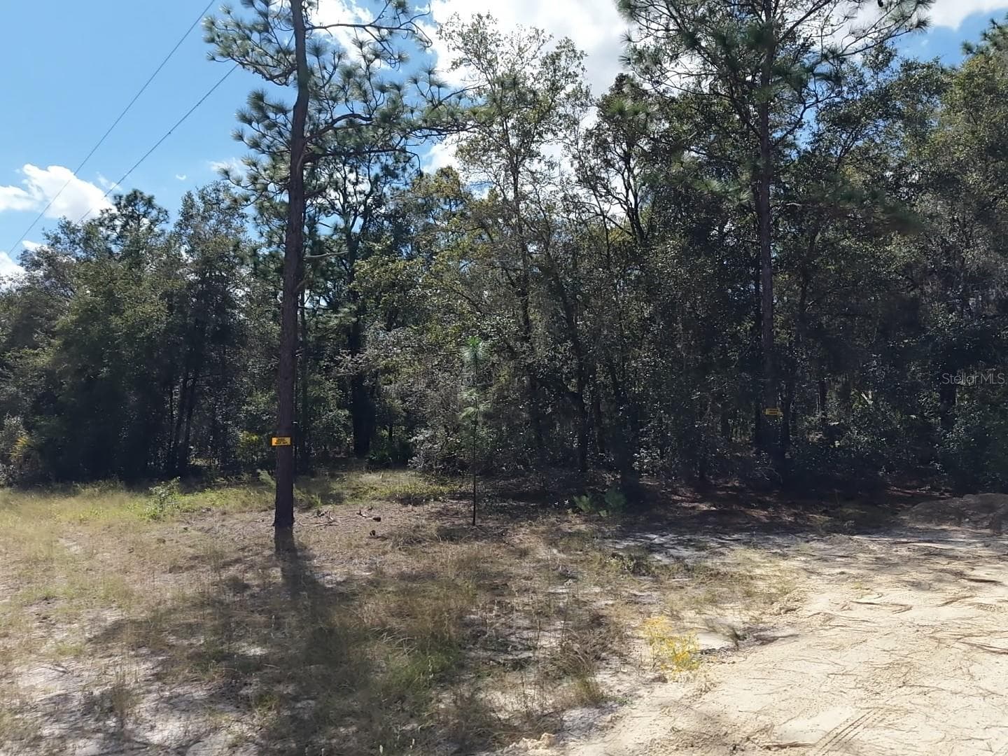 Land at 7416 N NATHAN PT, CRYSTAL RIVER, photo 28 of 78