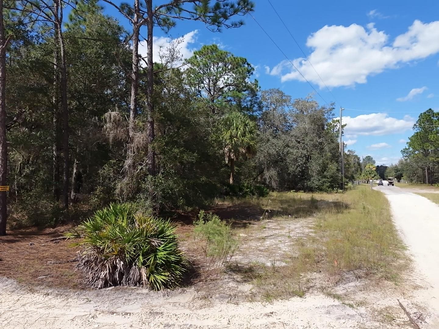 Land at 7416 N NATHAN PT, CRYSTAL RIVER, photo 29 of 78