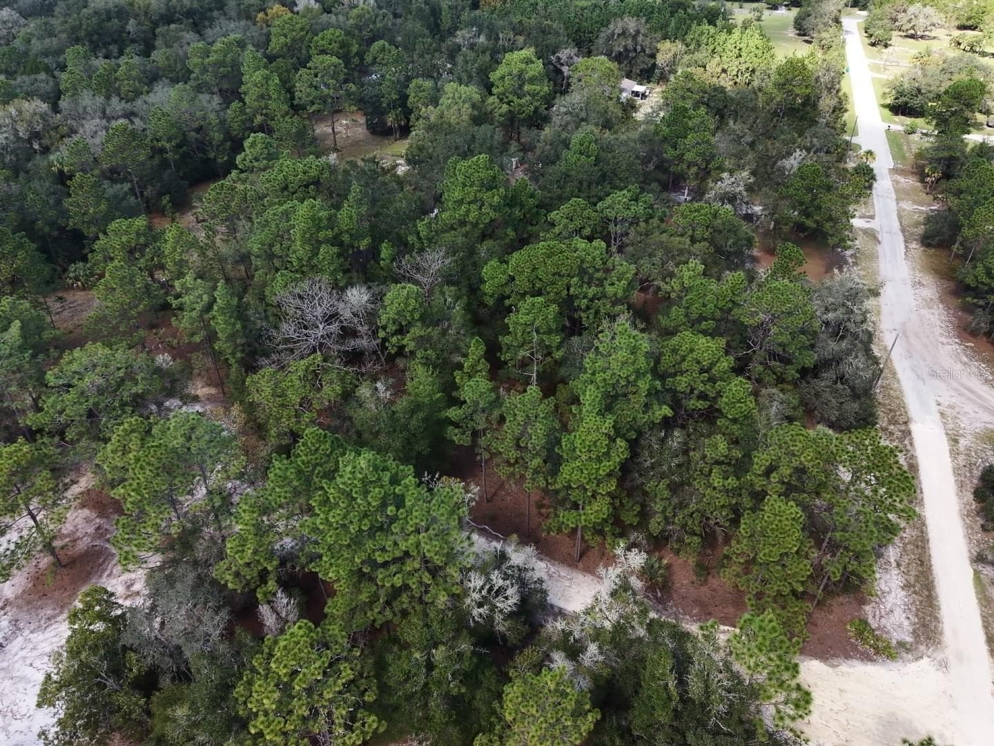 Land at 7416 N NATHAN PT, CRYSTAL RIVER, photo 34 of 78