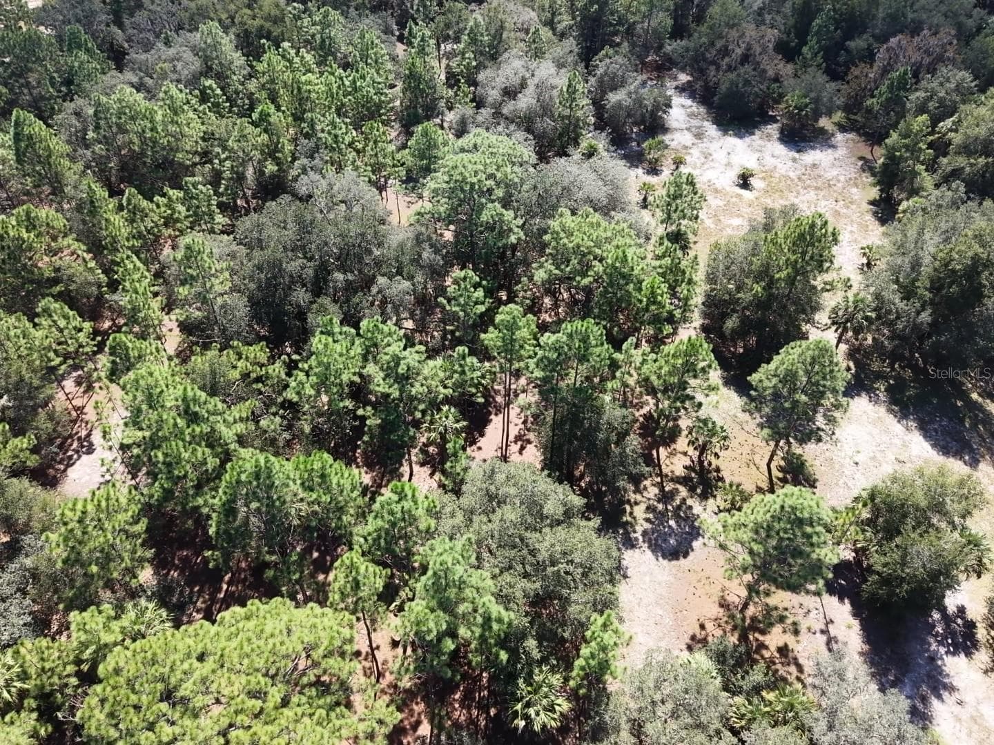 Land at 7416 N NATHAN PT, CRYSTAL RIVER, photo 36 of 78