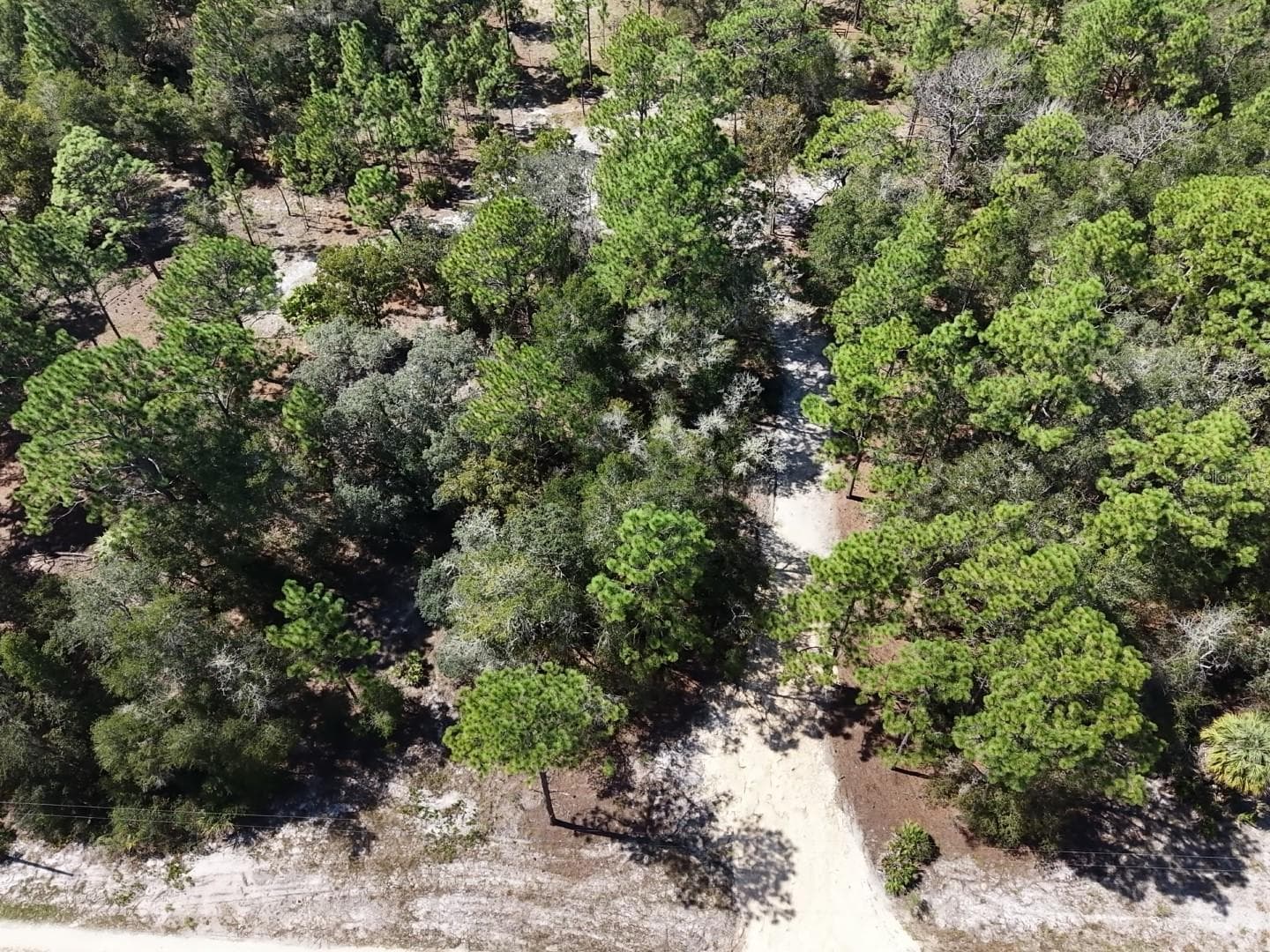 Land at 7416 N NATHAN PT, CRYSTAL RIVER, photo 37 of 78