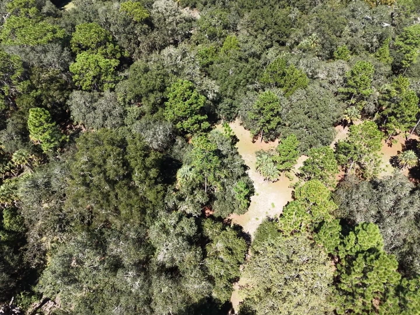 Land at 7416 N NATHAN PT, CRYSTAL RIVER, photo 39 of 78