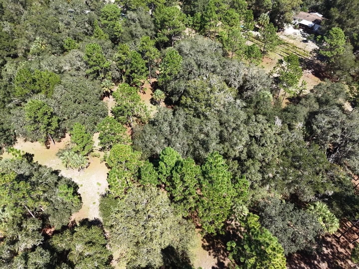Land at 7416 N NATHAN PT, CRYSTAL RIVER, photo 41 of 78