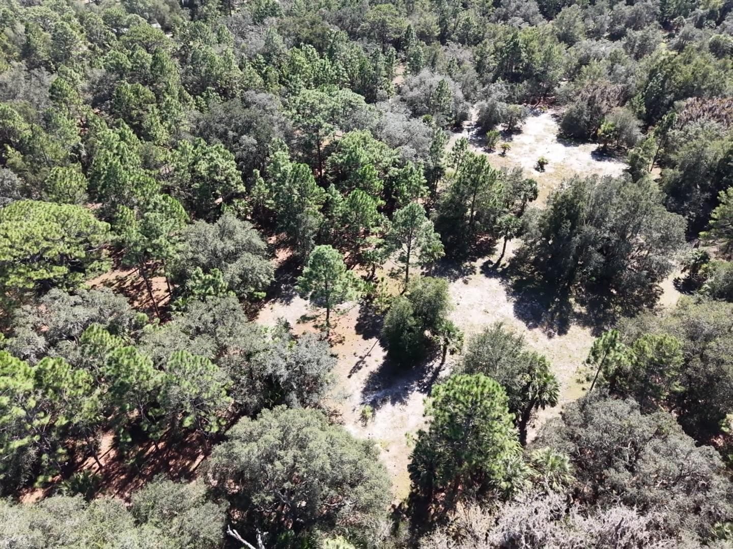 Land at 7416 N NATHAN PT, CRYSTAL RIVER, photo 42 of 78
