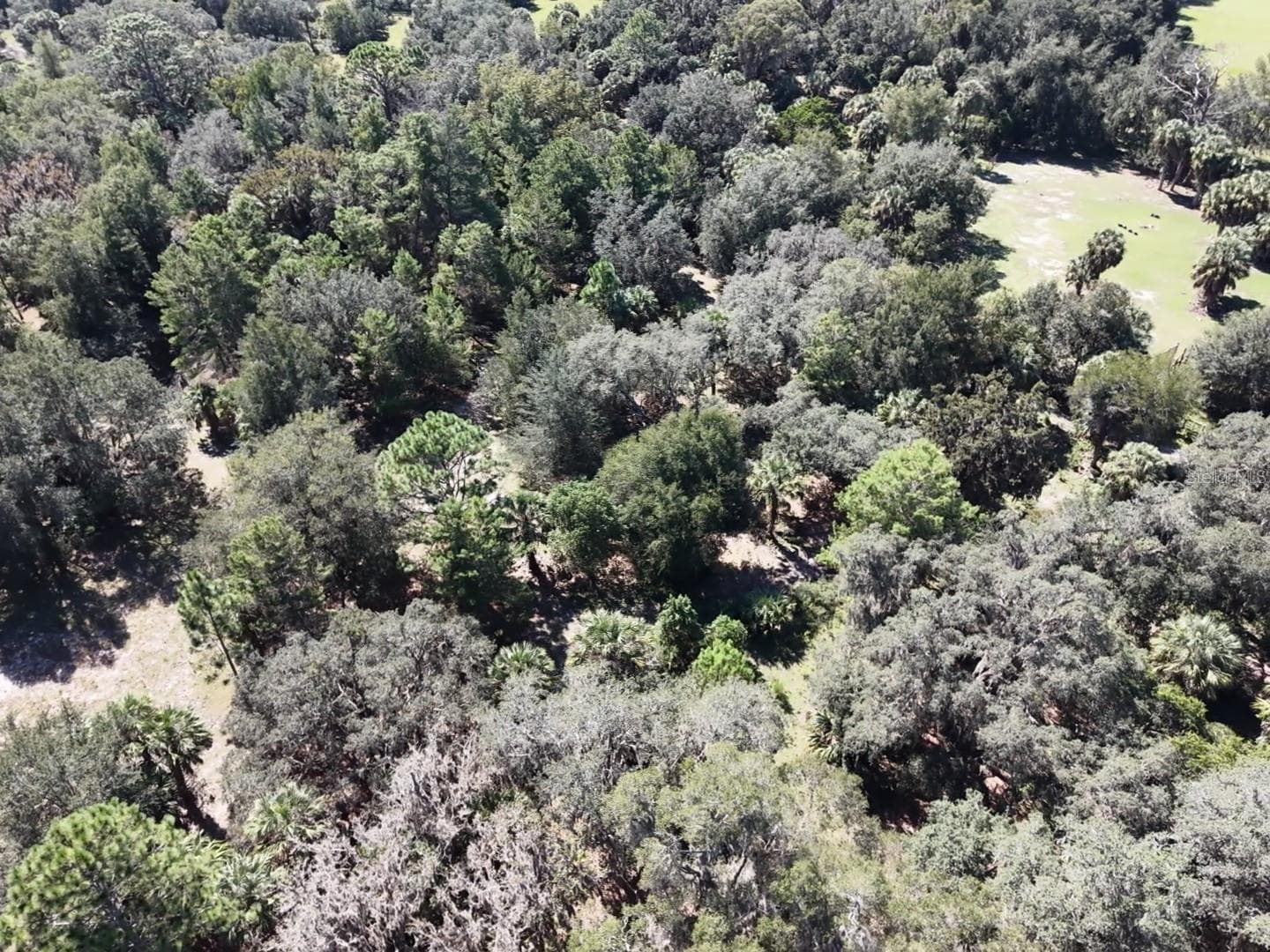 Land at 7416 N NATHAN PT, CRYSTAL RIVER, photo 43 of 78