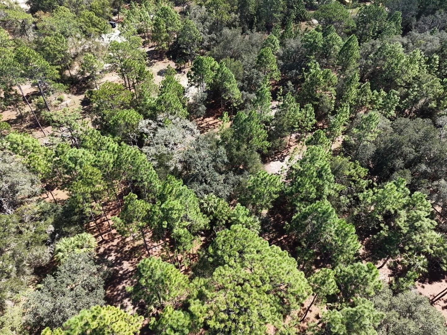 Land at 7416 N NATHAN PT, CRYSTAL RIVER, photo 45 of 78