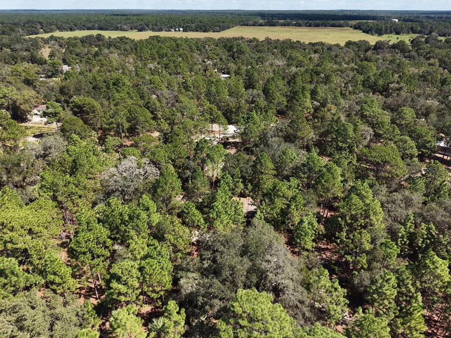 Land at 7416 N NATHAN PT, CRYSTAL RIVER, photo 46 of 78