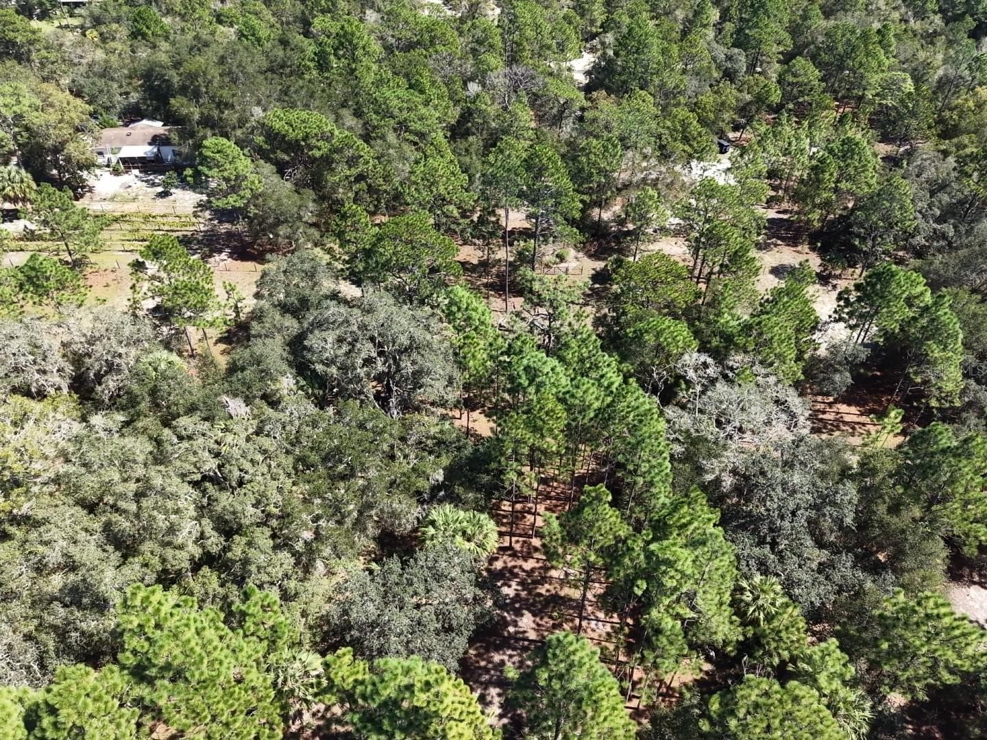 Land at 7416 N NATHAN PT, CRYSTAL RIVER, photo 47 of 78