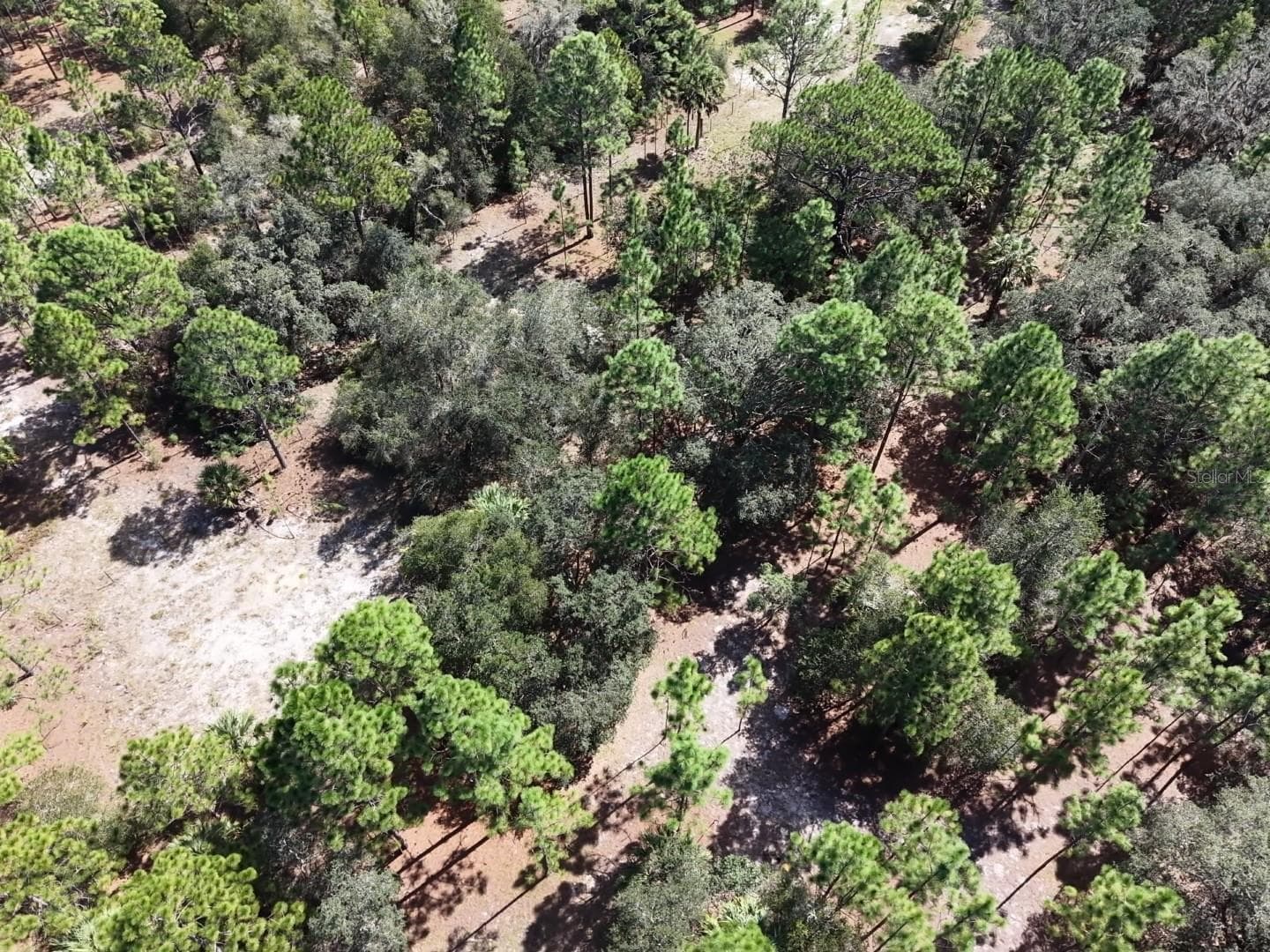 Land at 7416 N NATHAN PT, CRYSTAL RIVER, photo 50 of 78