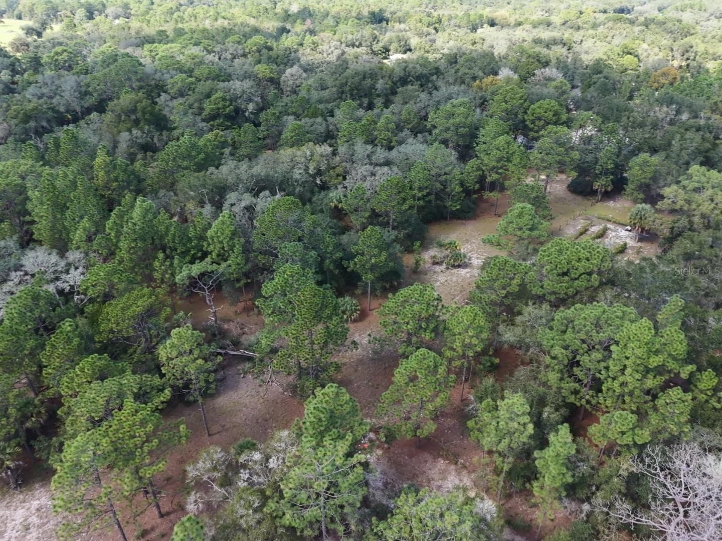 Land at 7416 N NATHAN PT, CRYSTAL RIVER, photo 51 of 78