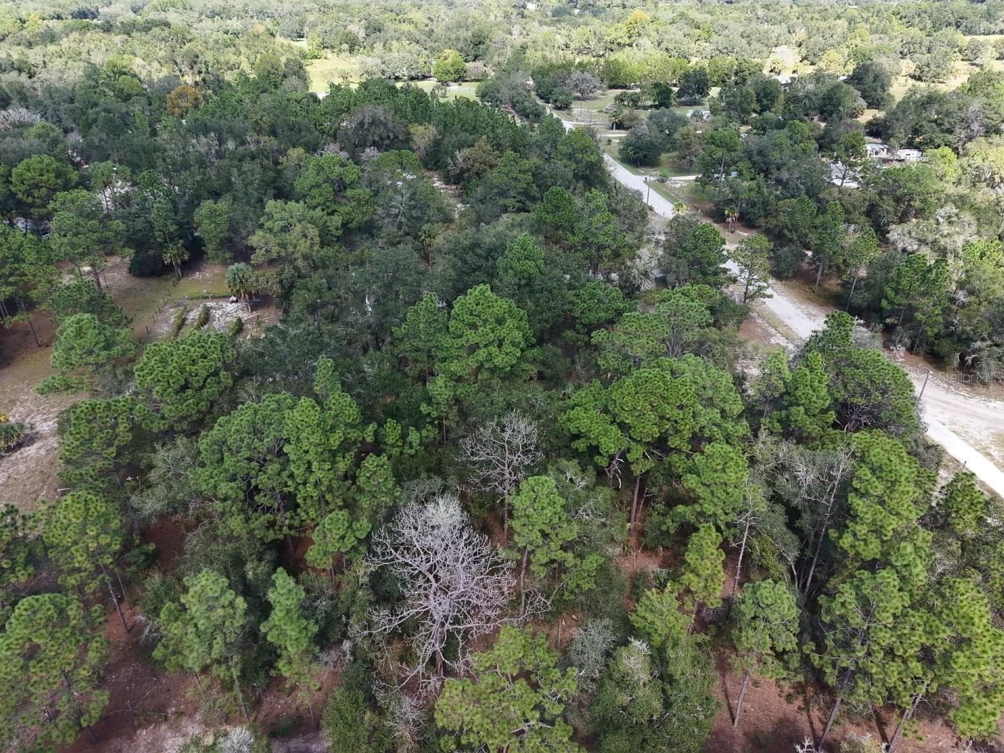 Land at 7416 N NATHAN PT, CRYSTAL RIVER, photo 52 of 78