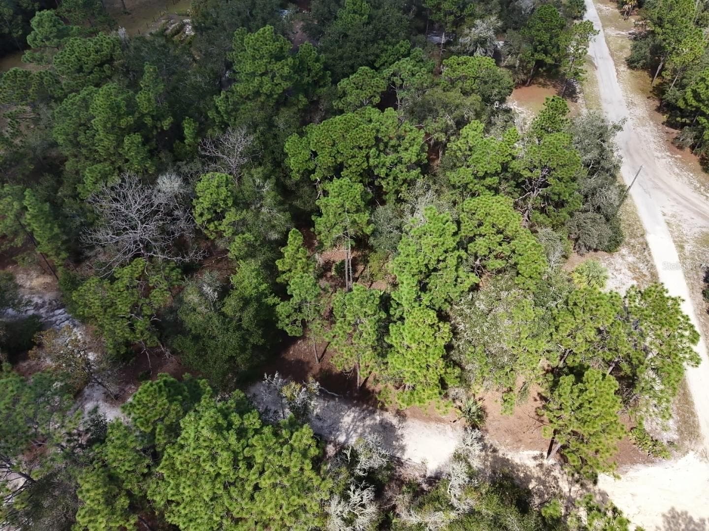 Land at 7416 N NATHAN PT, CRYSTAL RIVER, photo 53 of 78
