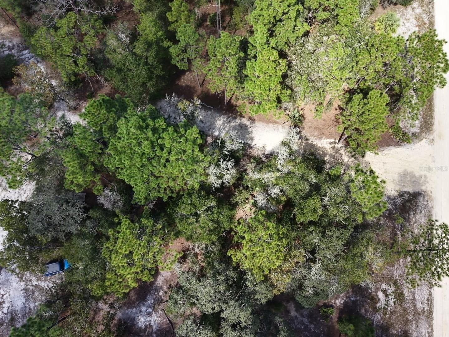 Land at 7416 N NATHAN PT, CRYSTAL RIVER, photo 54 of 78