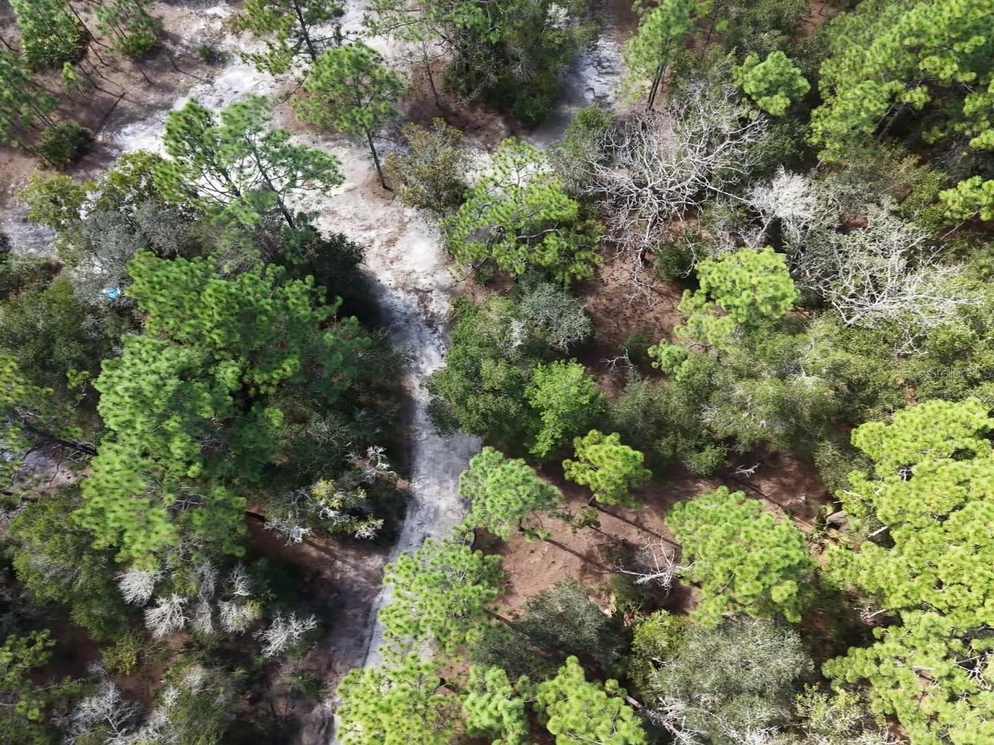 Land at 7416 N NATHAN PT, CRYSTAL RIVER, photo 55 of 78