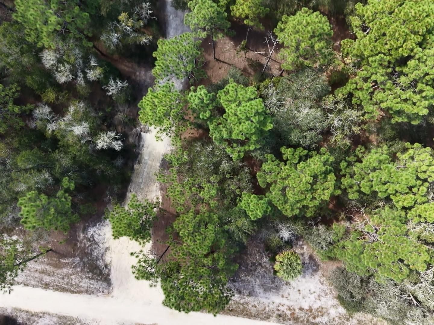 Land at 7416 N NATHAN PT, CRYSTAL RIVER, photo 56 of 78