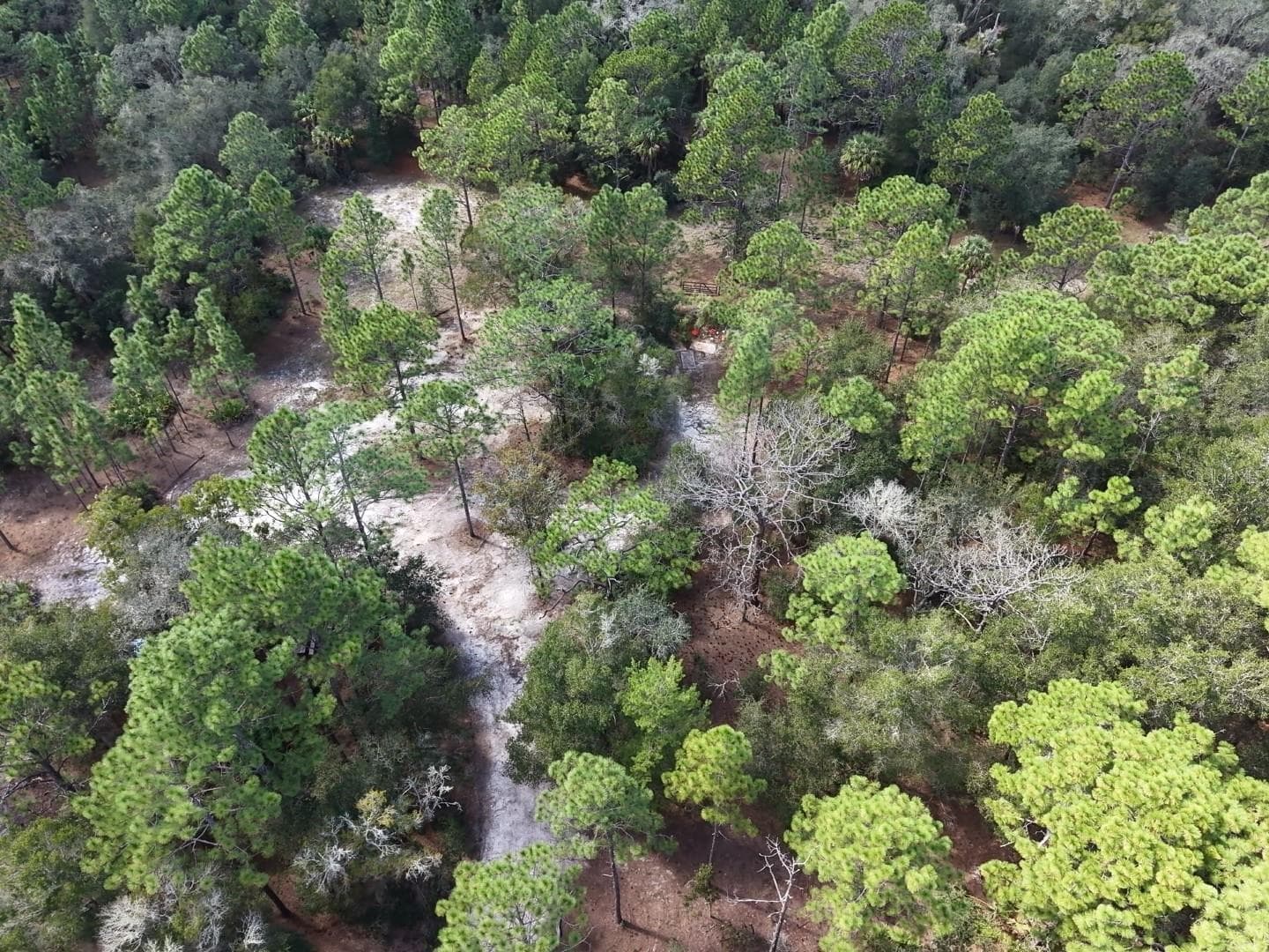 Land at 7416 N NATHAN PT, CRYSTAL RIVER, photo 57 of 78