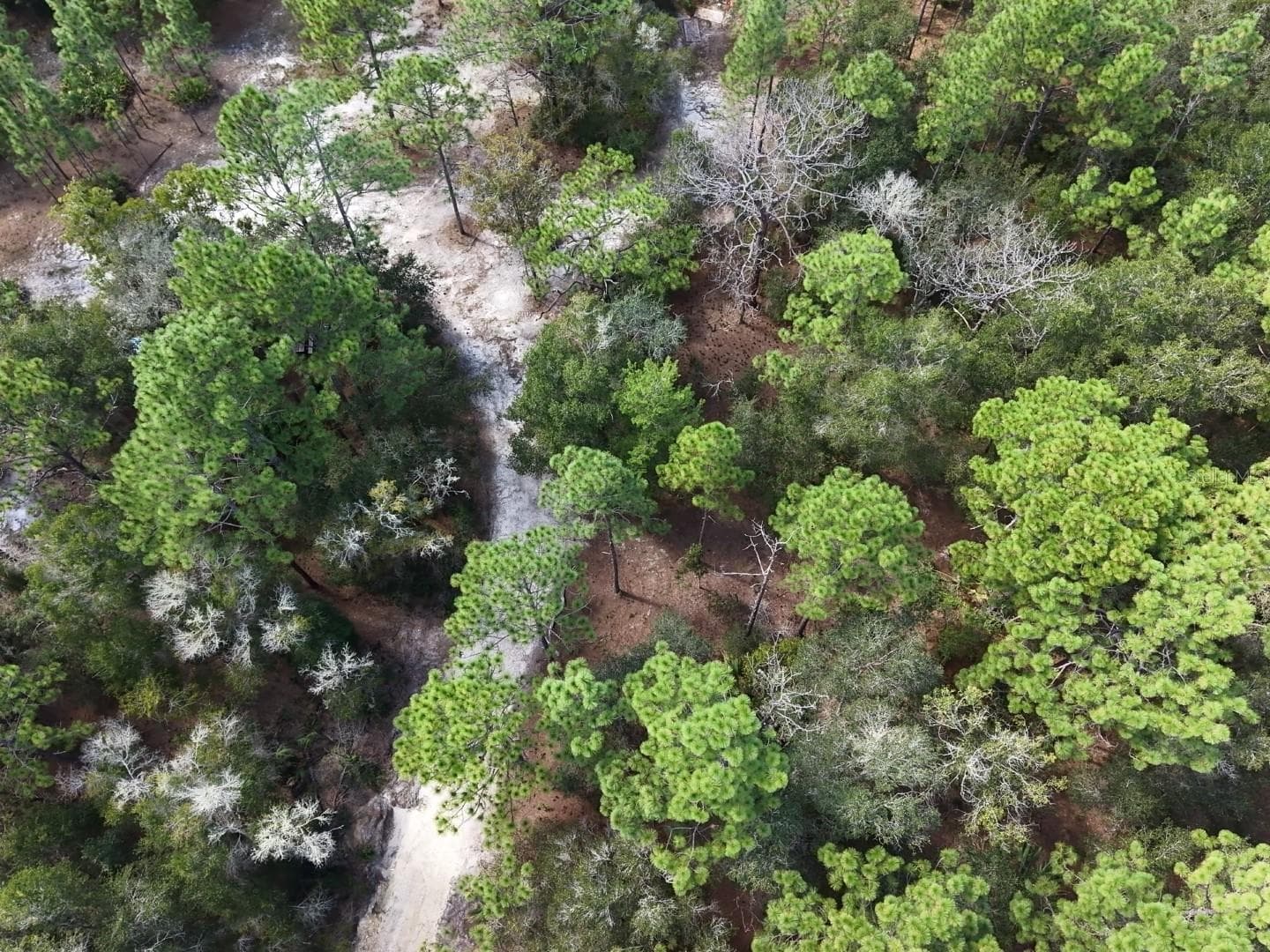 Land at 7416 N NATHAN PT, CRYSTAL RIVER, photo 58 of 78