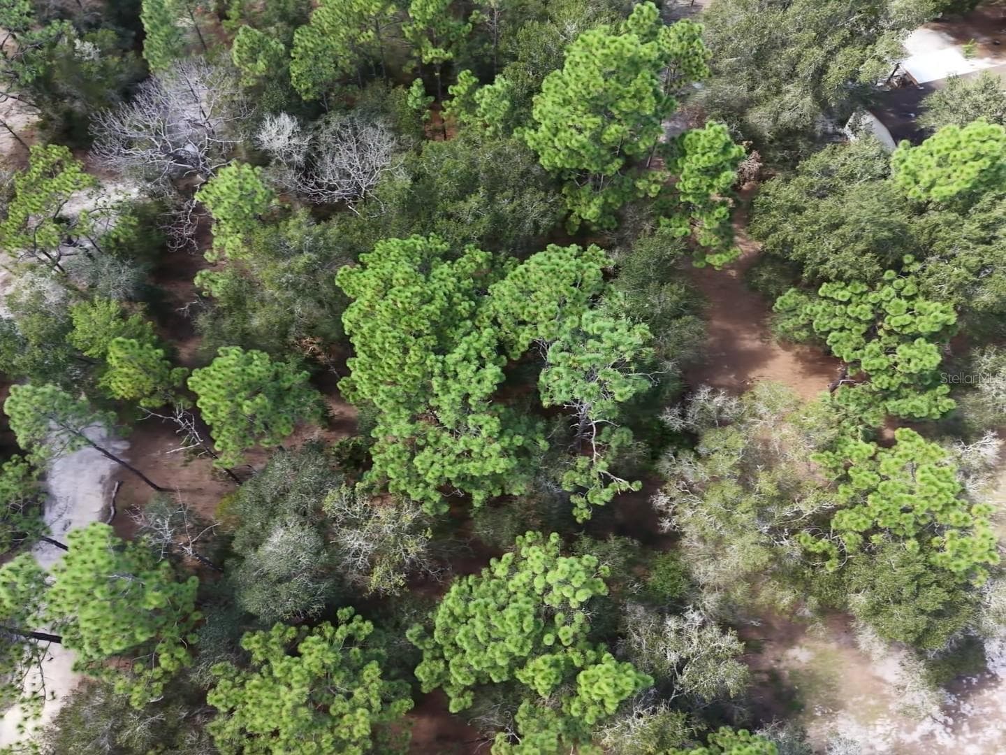 Land at 7416 N NATHAN PT, CRYSTAL RIVER, photo 59 of 78
