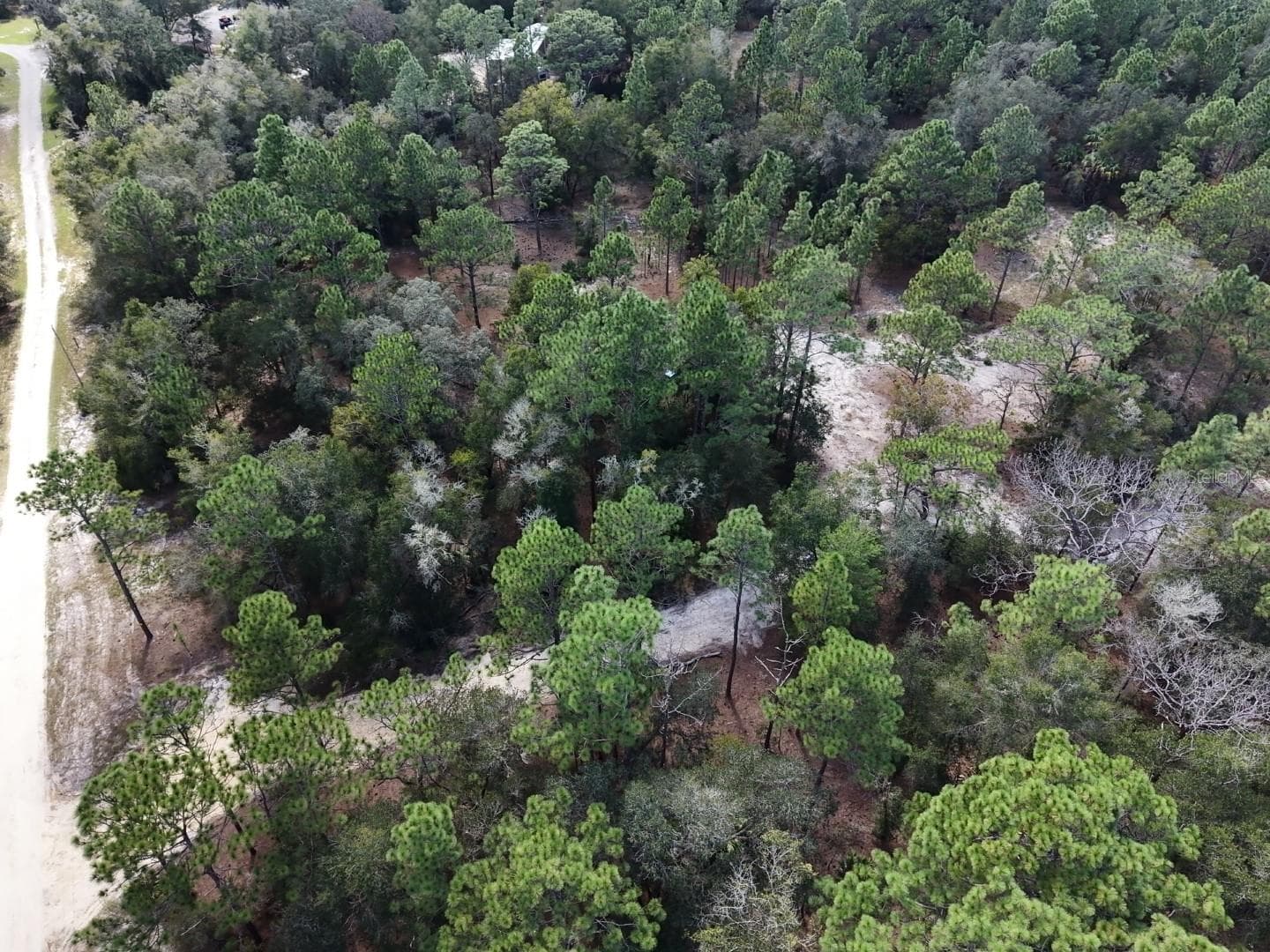 Land at 7416 N NATHAN PT, CRYSTAL RIVER, photo 60 of 78