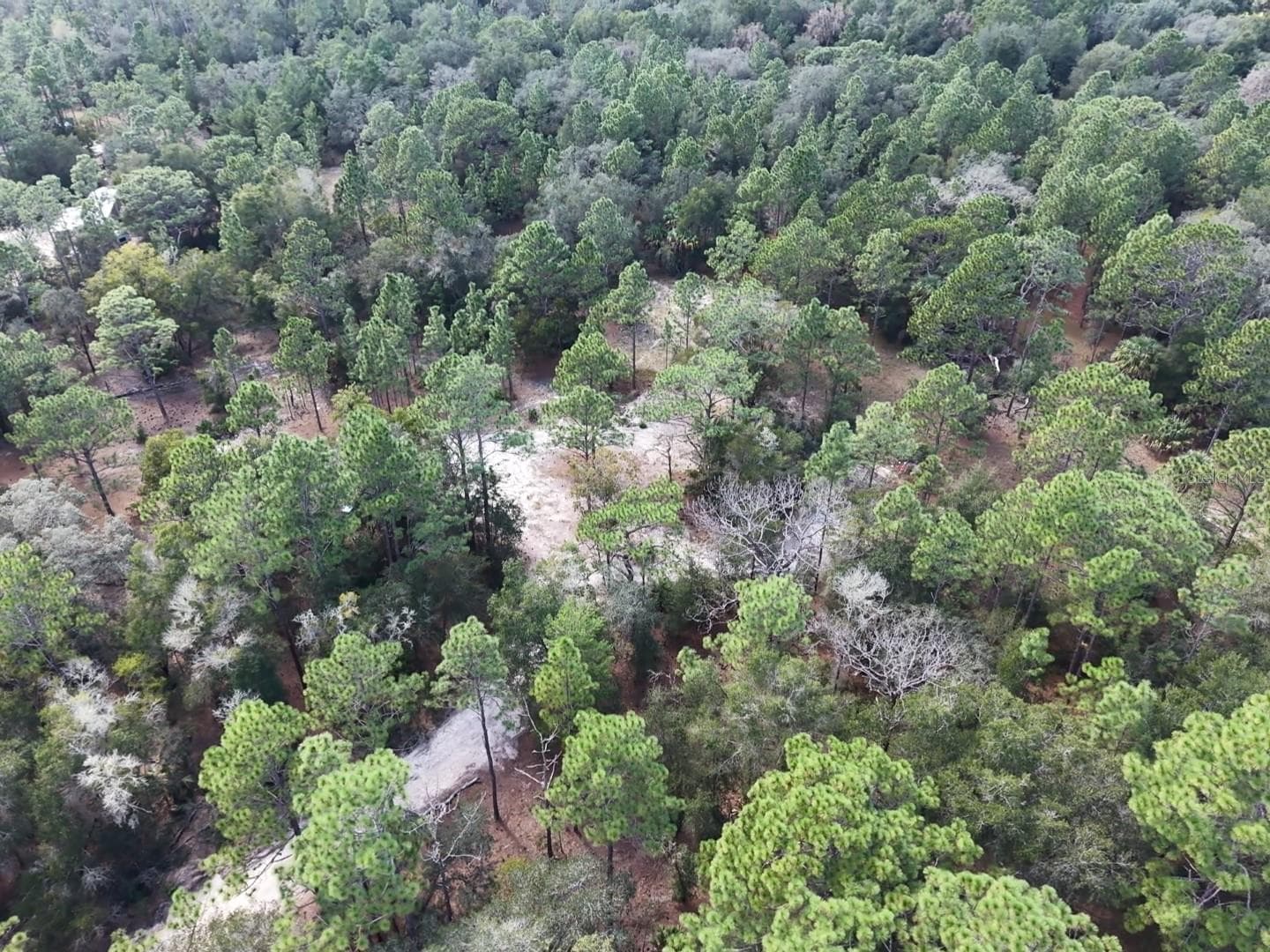 Land at 7416 N NATHAN PT, CRYSTAL RIVER, photo 61 of 78