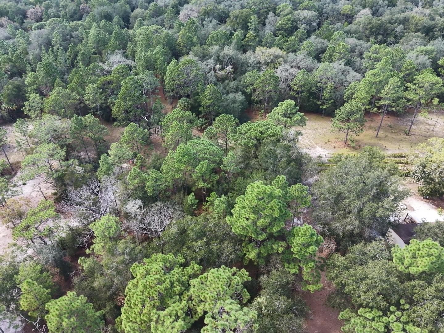 Land at 7416 N NATHAN PT, CRYSTAL RIVER, photo 62 of 78