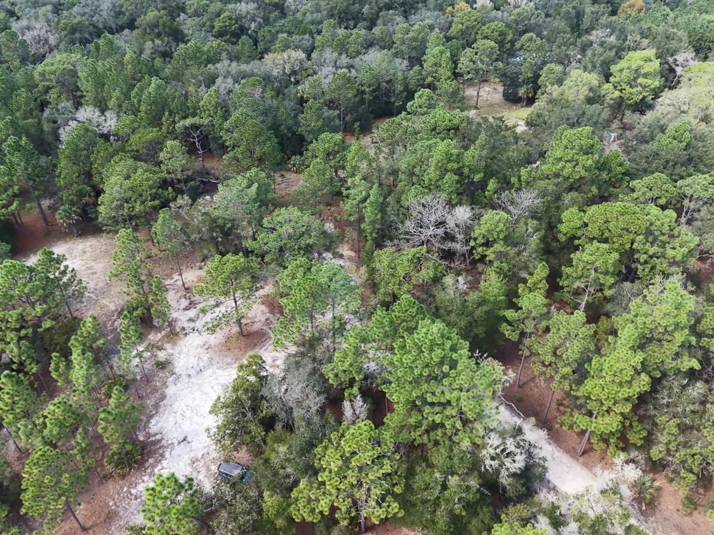 Land at 7416 N NATHAN PT, CRYSTAL RIVER, photo 63 of 78