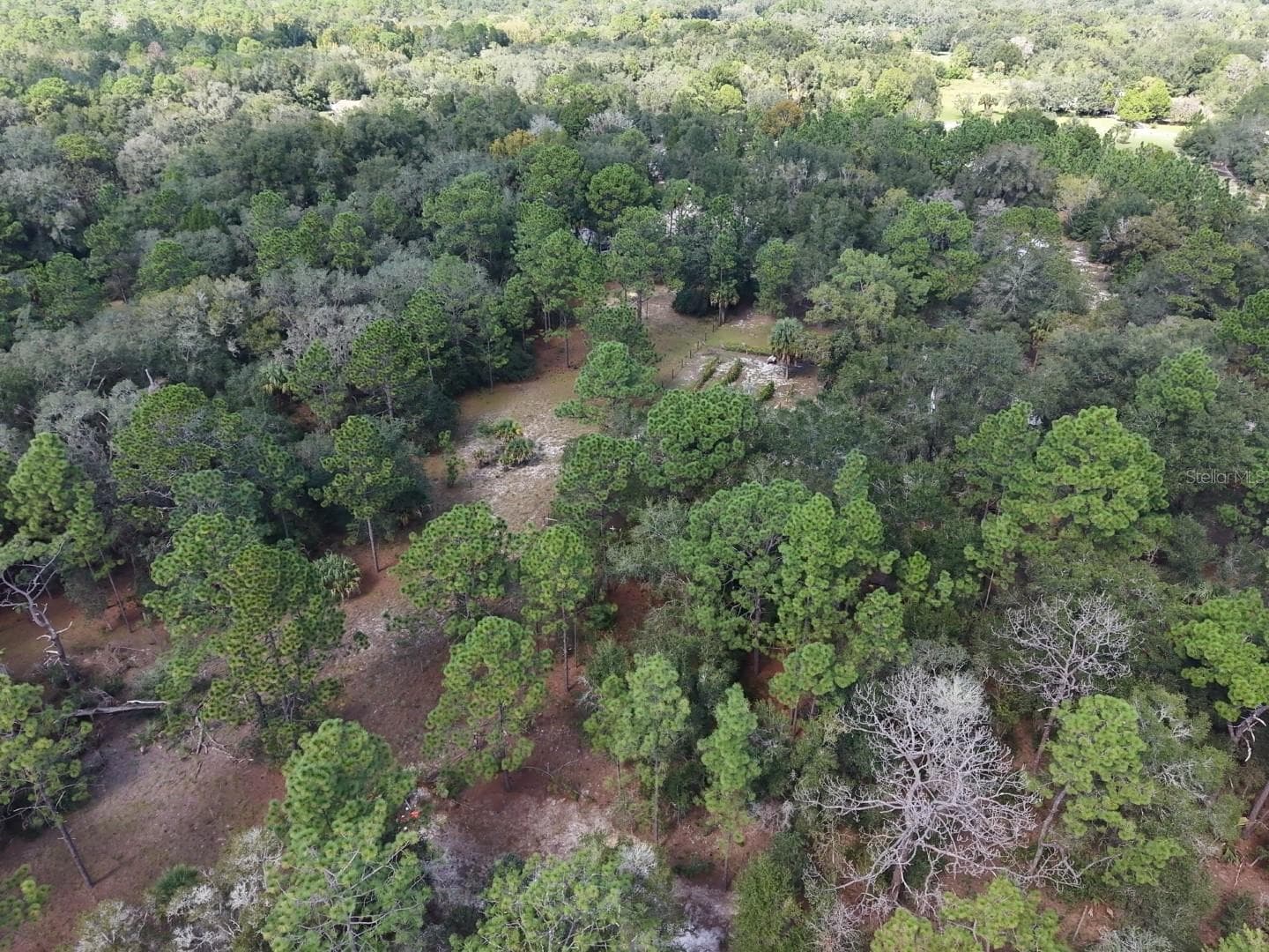 Land at 7416 N NATHAN PT, CRYSTAL RIVER, photo 64 of 78