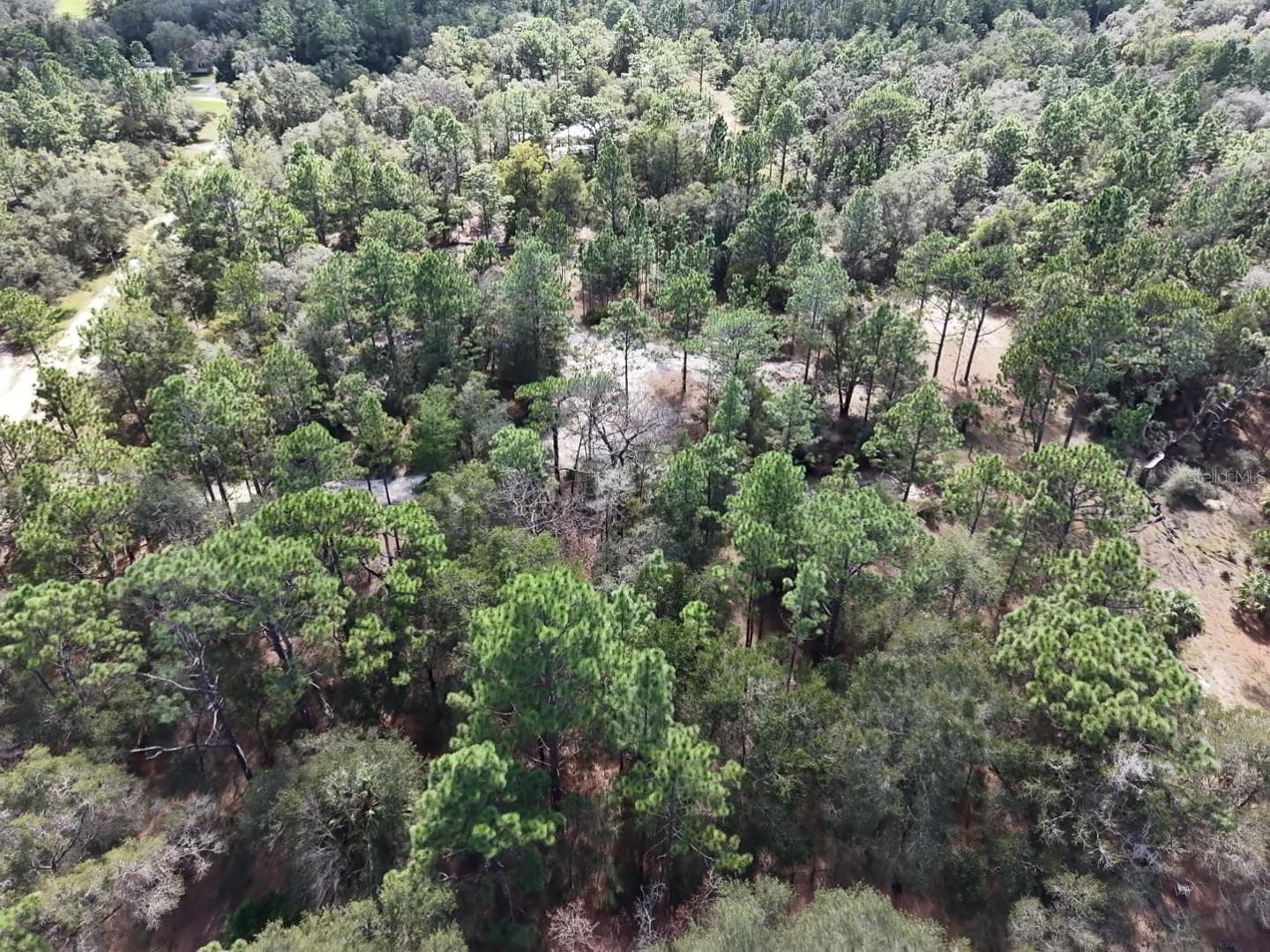 Land at 7416 N NATHAN PT, CRYSTAL RIVER, photo 67 of 78