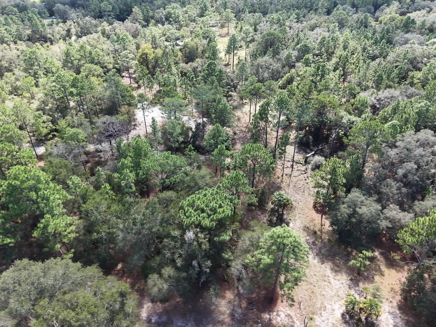 Land at 7416 N NATHAN PT, CRYSTAL RIVER, photo 68 of 78