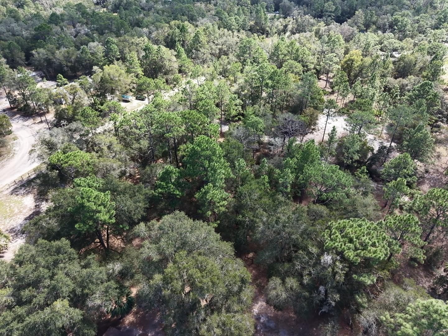 Land at 7416 N NATHAN PT, CRYSTAL RIVER, photo 69 of 78