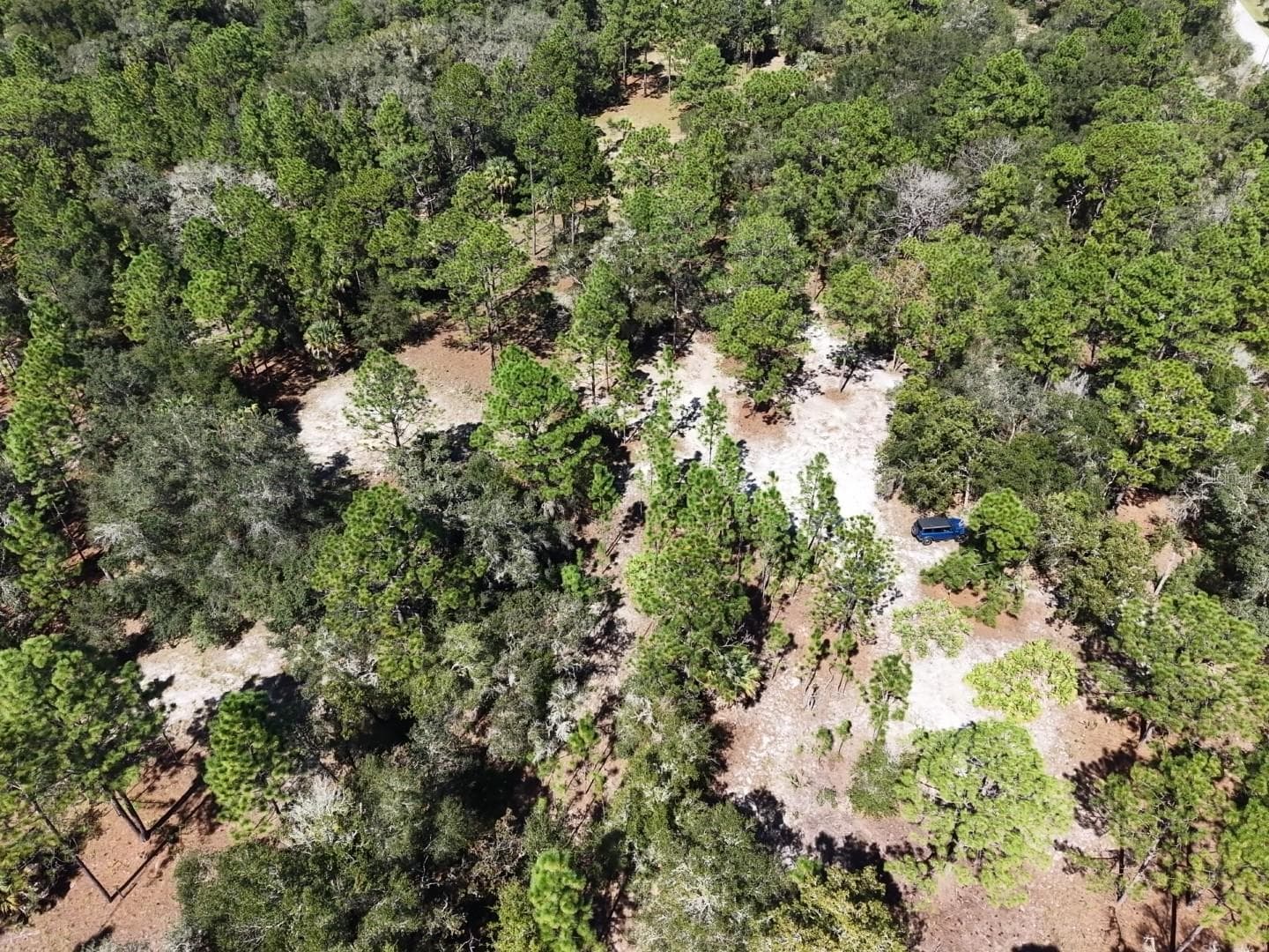 Land at 7416 N NATHAN PT, CRYSTAL RIVER, photo 70 of 78