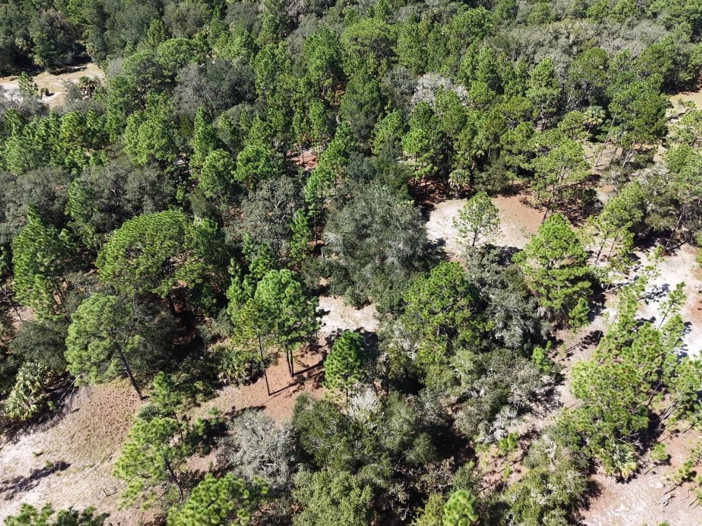Land at 7416 N NATHAN PT, CRYSTAL RIVER, photo 71 of 78