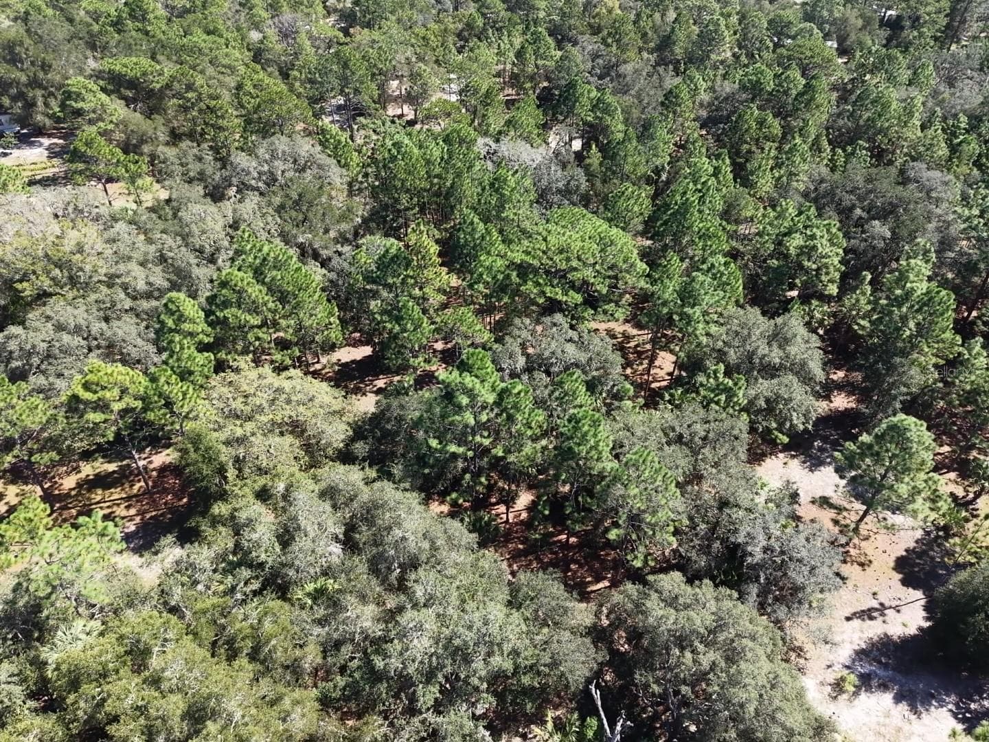 Land at 7416 N NATHAN PT, CRYSTAL RIVER, photo 72 of 78