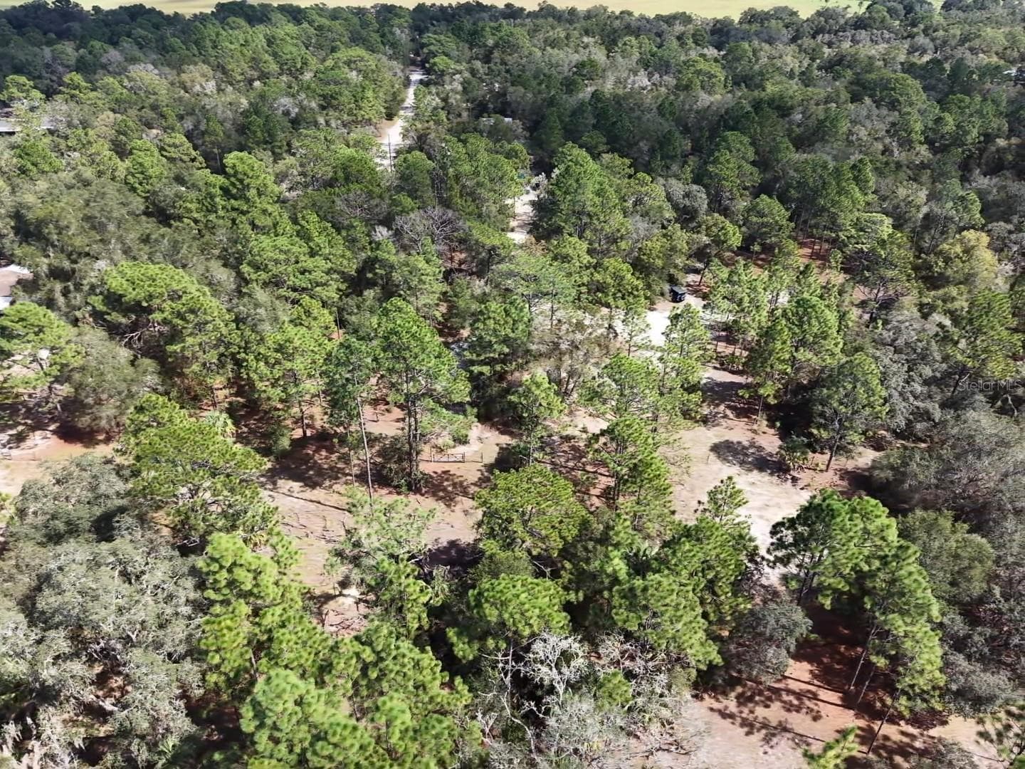 Land at 7416 N NATHAN PT, CRYSTAL RIVER, photo 75 of 78